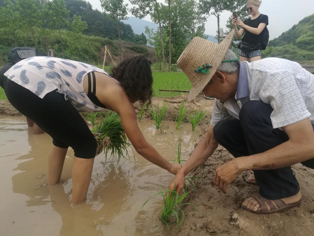 Zhangjiajie Jijiehao Inn Exteriör bild
